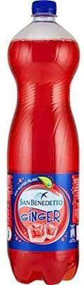 San Benedetto Ginger L 1 5 Pet