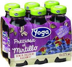 Yoga Nettare Mirtillo Cl.12,5x6