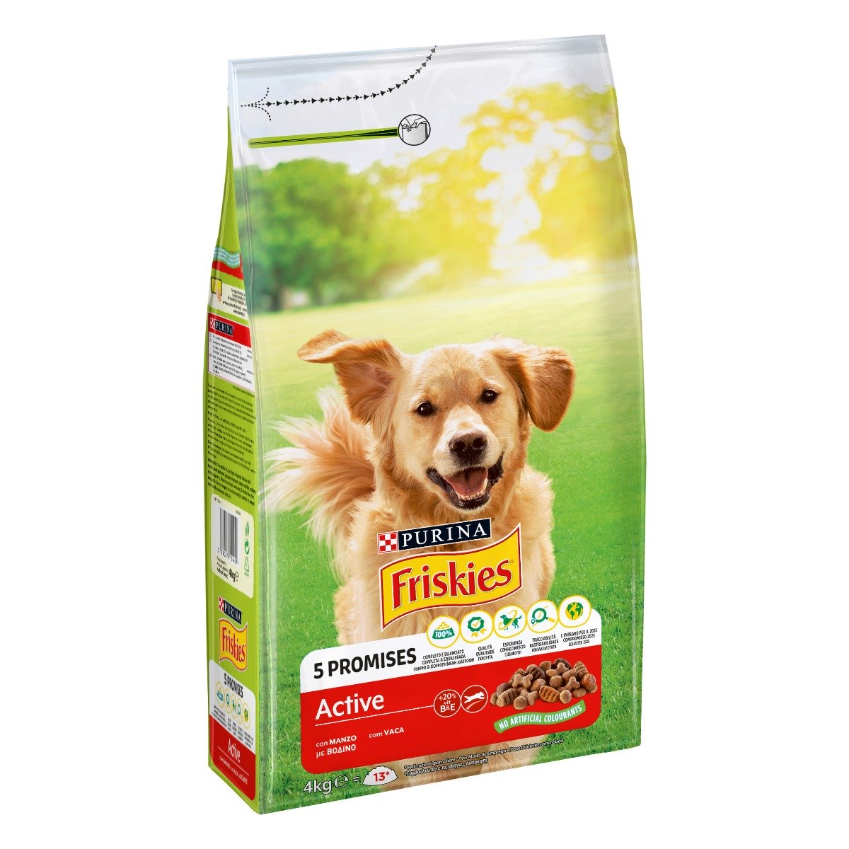 Friskies Cane Active Manzo Kg 4