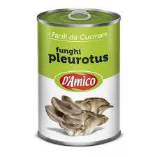 D Amico Funghi Pleurotus Gr 400