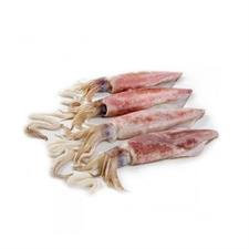 Calamari Sporchi 2 P Marocco Al Kg