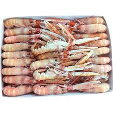 Scampi Porcupine 15/20 Cong. Al Kg