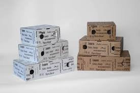 Box Porta Fritti 22x15x8 Pz 50